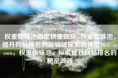 权重蜘蛛池百度权重蜘蛛ip权重蜘蛛池，提升网站排名的新领域探索蜘蛛池TG：zzcseo，权重蜘蛛池，探索提升网站排名的秘密武器