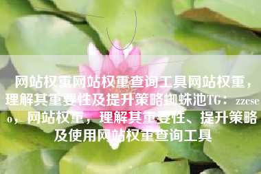 网站权重网站权重查询工具网站权重，理解其重要性及提升策略蜘蛛池TG：zzcseo，网站权重，理解其重要性、提升策略及使用网站权重查询工具