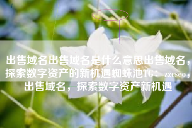 出售域名出售域名是什么意思出售域名，探索数字资产的新机遇蜘蛛池TG：zzcseo，出售域名，探索数字资产新机遇