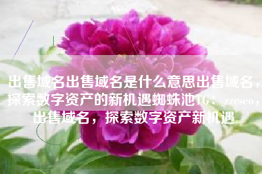 出售域名出售域名是什么意思出售域名，探索数字资产的新机遇蜘蛛池TG：zzcseo，出售域名，探索数字资产新机遇