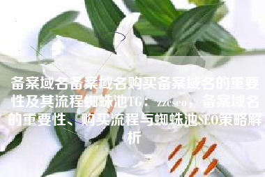 备案域名备案域名购买备案域名的重要性及其流程蜘蛛池TG：zzcseo，备案域名的重要性、购买流程与蜘蛛池SEO策略解析