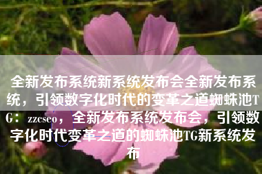 全新发布系统新系统发布会全新发布系统，引领数字化时代的变革之道蜘蛛池TG：zzcseo，全新发布系统发布会，引领数字化时代变革之道的蜘蛛池TG新系统发布