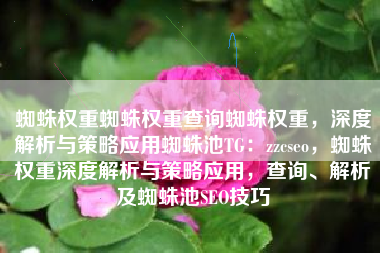 蜘蛛权重蜘蛛权重查询蜘蛛权重，深度解析与策略应用蜘蛛池TG：zzcseo，蜘蛛权重深度解析与策略应用，查询、解析及蜘蛛池SEO技巧