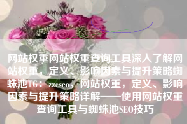 网站权重网站权重查询工具深入了解网站权重，定义、影响因素与提升策略蜘蛛池TG：zzcseo，网站权重，定义、影响因素与提升策略详解——使用网站权重查询工具与蜘蛛池SEO技巧