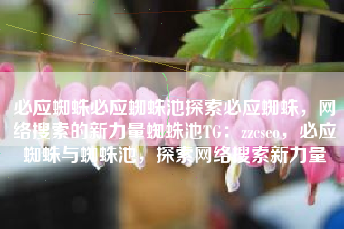 必应蜘蛛必应蜘蛛池探索必应蜘蛛，网络搜索的新力量蜘蛛池TG：zzcseo，必应蜘蛛与蜘蛛池，探索网络搜索新力量