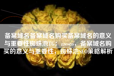 备案域名备案域名购买备案域名的意义与重要性蜘蛛池TG：zzcseo，备案域名购买的意义与重要性，蜘蛛池SEO策略解析