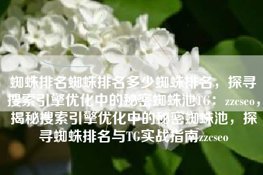 蜘蛛排名蜘蛛排名多少蜘蛛排名，探寻搜索引擎优化中的秘密蜘蛛池TG：zzcseo，揭秘搜索引擎优化中的秘密蜘蛛池，探寻蜘蛛排名与TG实战指南zzcseo