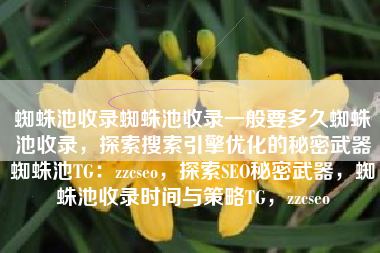 蜘蛛池收录蜘蛛池收录一般要多久蜘蛛池收录，探索搜索引擎优化的秘密武器蜘蛛池TG：zzcseo，探索SEO秘密武器，蜘蛛池收录时间与策略TG，zzcseo