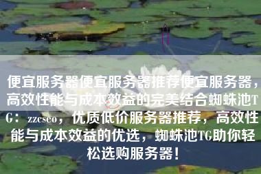 便宜服务器便宜服务器推荐便宜服务器，高效性能与成本效益的完美结合蜘蛛池TG：zzcseo，优质低价服务器推荐，高效性能与成本效益的优选，蜘蛛池TG助你轻松选购服务器！