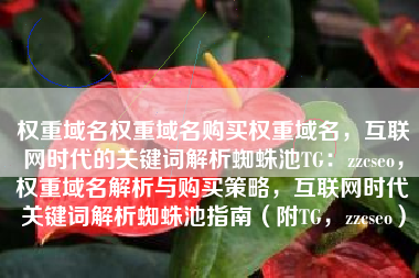 权重域名权重域名购买权重域名，互联网时代的关键词解析蜘蛛池TG：zzcseo，权重域名解析与购买策略，互联网时代关键词解析蜘蛛池指南（附TG，zzcseo）