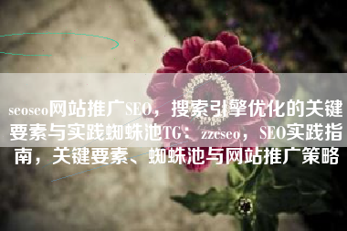seoseo网站推广SEO，搜索引擎优化的关键要素与实践蜘蛛池TG：zzcseo，SEO实践指南，关键要素、蜘蛛池与网站推广策略