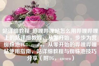 站详细教程_哔哩哔哩站怎么用哔哩哔哩上的站详细教程，从零开始，步步为营蜘蛛池TG：zzcseo，从零开始的哔哩哔哩站使用指南，站详细教程与蜘蛛池技巧分享（附TG，zzcseo）