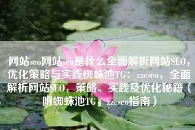 网站seo网站seo是什么全面解析网站SEO，优化策略与实践蜘蛛池TG：zzcseo，全面解析网站SEO，策略、实践及优化秘籍（附蜘蛛池TG，zzcseo指南）