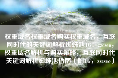 权重域名权重域名购买权重域名，互联网时代的关键词解析蜘蛛池TG：zzcseo，权重域名解析与购买策略，互联网时代关键词解析蜘蛛池指南（附TG，zzcseo）