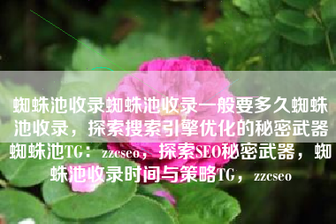 蜘蛛池收录蜘蛛池收录一般要多久蜘蛛池收录，探索搜索引擎优化的秘密武器蜘蛛池TG：zzcseo，探索SEO秘密武器，蜘蛛池收录时间与策略TG，zzcseo