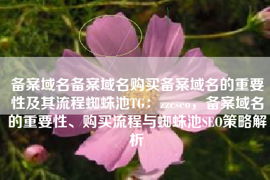 备案域名备案域名购买备案域名的重要性及其流程蜘蛛池TG：zzcseo，备案域名的重要性、购买流程与蜘蛛池SEO策略解析
