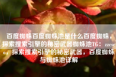 百度蜘蛛百度蜘蛛池是什么百度蜘蛛，探索搜索引擎的秘密武器蜘蛛池TG：zzcseo，探索搜索引擎的秘密武器，百度蜘蛛与蜘蛛池详解