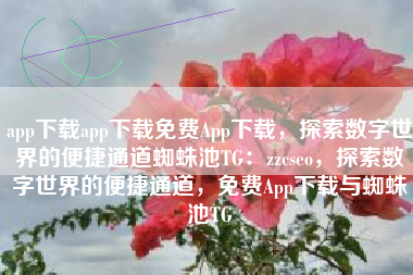 app下载app下载免费App下载，探索数字世界的便捷通道蜘蛛池TG：zzcseo，探索数字世界的便捷通道，免费App下载与蜘蛛池TG