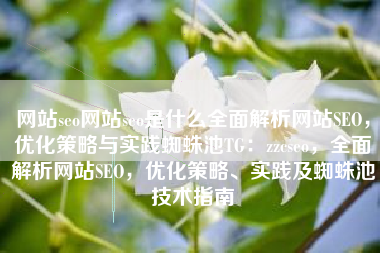 网站seo网站seo是什么全面解析网站SEO，优化策略与实践蜘蛛池TG：zzcseo，全面解析网站SEO，优化策略、实践及蜘蛛池技术指南