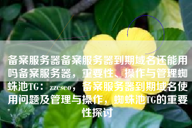备案服务器备案服务器到期域名还能用吗备案服务器，重要性、操作与管理蜘蛛池TG：zzcseo，备案服务器到期域名使用问题及管理与操作，蜘蛛池TG的重要性探讨