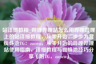 站详细教程_哔哩哔哩站怎么用哔哩哔哩上的站详细教程，从零开始，步步为营蜘蛛池TG：zzcseo，从零开始的哔哩哔哩站使用指南，详细教程与蜘蛛池技巧分享（附TG，zzcseo）