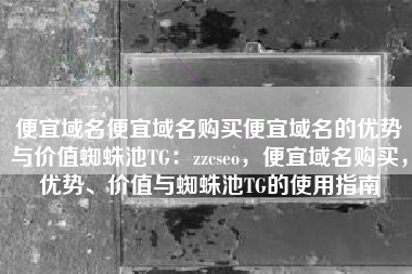 便宜域名便宜域名购买便宜域名的优势与价值蜘蛛池TG：zzcseo，便宜域名购买，优势、价值与蜘蛛池TG的使用指南
