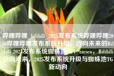 哔哩哔哩_bilibili_2025发布系统哔哩哔哩2050哔哩哔哩发布系统升级，迈向未来的Bilibili 2025发布系统蜘蛛池TG：zzcseo，Bilibili迈向未来，2025发布系统升级与蜘蛛池TG新动向
