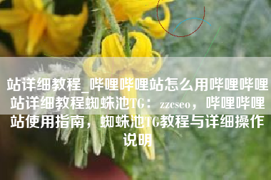 站详细教程_哔哩哔哩站怎么用哔哩哔哩站详细教程蜘蛛池TG：zzcseo，哔哩哔哩站使用指南，蜘蛛池TG教程与详细操作说明