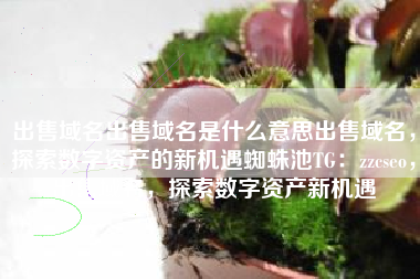 出售域名出售域名是什么意思出售域名，探索数字资产的新机遇蜘蛛池TG：zzcseo，出售域名，探索数字资产新机遇