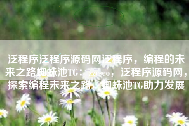 泛程序泛程序源码网泛程序，编程的未来之路蜘蛛池TG：zzcseo，泛程序源码网，探索编程未来之路，蜘蛛池TG助力发展
