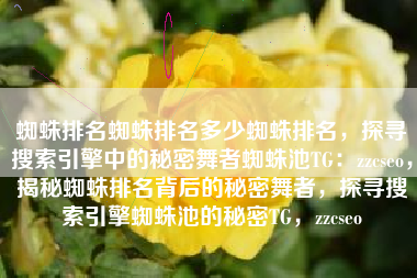 蜘蛛排名蜘蛛排名多少蜘蛛排名，探寻搜索引擎中的秘密舞者蜘蛛池TG：zzcseo，揭秘蜘蛛排名背后的秘密舞者，探寻搜索引擎蜘蛛池的秘密TG，zzcseo