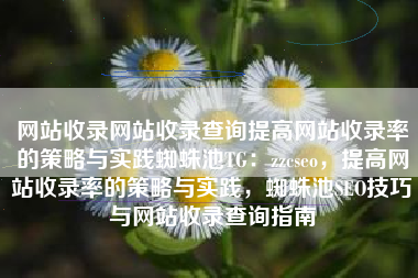 网站收录网站收录查询提高网站收录率的策略与实践蜘蛛池TG：zzcseo，提高网站收录率的策略与实践，蜘蛛池SEO技巧与网站收录查询指南
