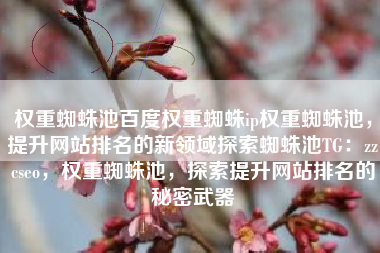 权重蜘蛛池百度权重蜘蛛ip权重蜘蛛池，提升网站排名的新领域探索蜘蛛池TG：zzcseo，权重蜘蛛池，探索提升网站排名的秘密武器