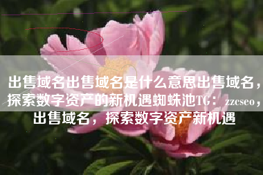 出售域名出售域名是什么意思出售域名，探索数字资产的新机遇蜘蛛池TG：zzcseo，出售域名，探索数字资产新机遇