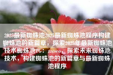 2025最新蜘蛛池2025最新蜘蛛池程序构建蜘蛛池的新篇章，探索2025年最新蜘蛛池技术蜘蛛池TG：zzcseo，探索未来蜘蛛池技术，构建蜘蛛池的新篇章与最新蜘蛛池程序