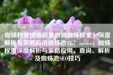 蜘蛛权重蜘蛛权重查询蜘蛛权重，深度解析与策略应用蜘蛛池TG：zzcseo，蜘蛛权重深度解析与策略应用，查询、解析及蜘蛛池SEO技巧