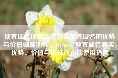 便宜域名便宜域名购买便宜域名的优势与价值蜘蛛池TG：zzcseo，便宜域名购买，优势、价值与蜘蛛池TG的使用指南