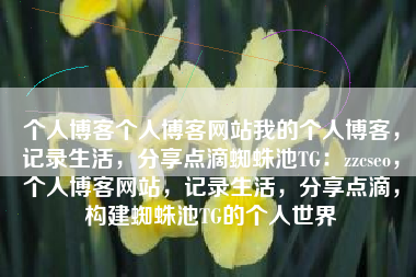 个人博客个人博客网站我的个人博客，记录生活，分享点滴蜘蛛池TG：zzcseo，个人博客网站，记录生活，分享点滴，构建蜘蛛池TG的个人世界