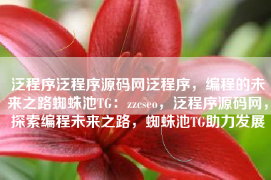 泛程序泛程序源码网泛程序，编程的未来之路蜘蛛池TG：zzcseo，泛程序源码网，探索编程未来之路，蜘蛛池TG助力发展