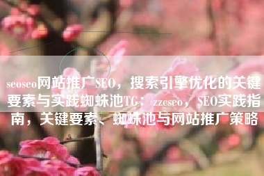 seoseo网站推广SEO，搜索引擎优化的关键要素与实践蜘蛛池TG：zzcseo，SEO实践指南，关键要素、蜘蛛池与网站推广策略