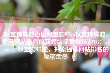 权重蜘蛛池百度权重蜘蛛ip权重蜘蛛池，提升网站排名的新领域探索蜘蛛池TG：zzcseo，权重蜘蛛池，探索提升网站排名的秘密武器