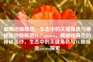 蜘蛛池蜘蛛池，生态中的关键角色与神秘面纱蜘蛛池TG：zzcseo，揭秘蜘蛛池的神秘面纱，生态中的关键角色与TG蜘蛛池zzcseo探索