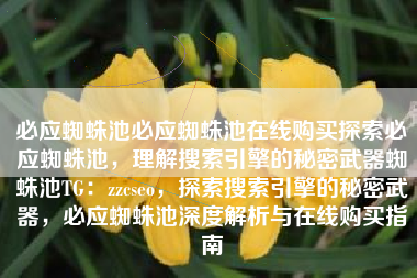 必应蜘蛛池必应蜘蛛池在线购买探索必应蜘蛛池，理解搜索引擎的秘密武器蜘蛛池TG：zzcseo，探索搜索引擎的秘密武器，必应蜘蛛池深度解析与在线购买指南