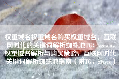 权重域名权重域名购买权重域名，互联网时代的关键词解析蜘蛛池TG：zzcseo，权重域名解析与购买策略，互联网时代关键词解析蜘蛛池指南（附TG，zzcseo）