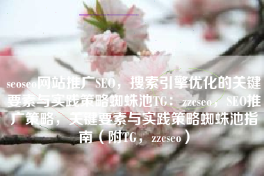 seoseo网站推广SEO，搜索引擎优化的关键要素与实践策略蜘蛛池TG：zzcseo，SEO推广策略，关键要素与实践策略蜘蛛池指南（附TG，zzcseo）