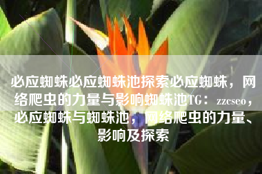 必应蜘蛛必应蜘蛛池探索必应蜘蛛，网络爬虫的力量与影响蜘蛛池TG：zzcseo，必应蜘蛛与蜘蛛池，网络爬虫的力量、影响及探索