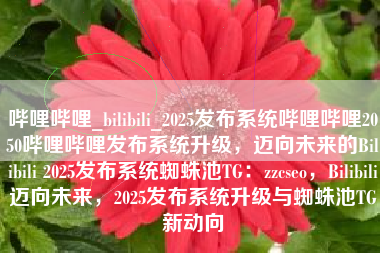 哔哩哔哩_bilibili_2025发布系统哔哩哔哩2050哔哩哔哩发布系统升级，迈向未来的Bilibili 2025发布系统蜘蛛池TG：zzcseo，Bilibili迈向未来，2025发布系统升级与蜘蛛池TG新动向