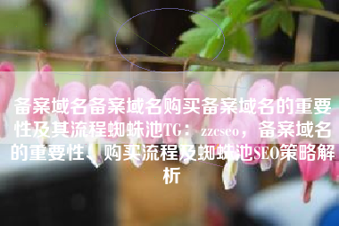 备案域名备案域名购买备案域名的重要性及其流程蜘蛛池TG：zzcseo，备案域名的重要性、购买流程及蜘蛛池SEO策略解析