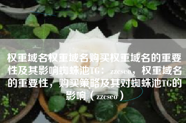 权重域名权重域名购买权重域名的重要性及其影响蜘蛛池TG：zzcseo，权重域名的重要性，购买策略及其对蜘蛛池TG的影响（zzcseo）