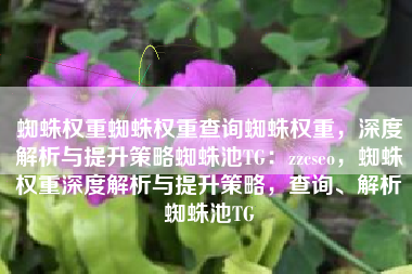 蜘蛛权重蜘蛛权重查询蜘蛛权重，深度解析与提升策略蜘蛛池TG：zzcseo，蜘蛛权重深度解析与提升策略，查询、解析蜘蛛池TG